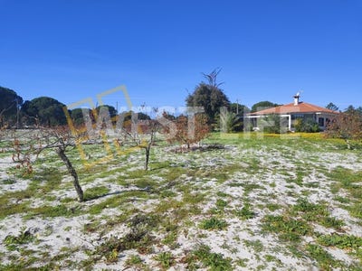 /international/pt/torrao-setubal-municipality-310098117395/
