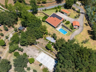 /international/pt/valdosende-braga-310095830206/
