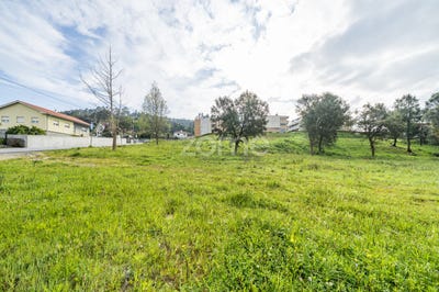 /international/pt/barcelos-braga-310099282314/?lang=zh-cn