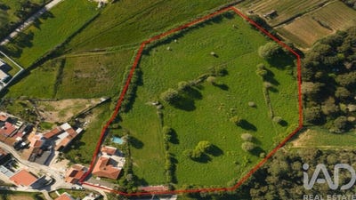 /international/pt/salir-de-matos-leiria-310101183826/