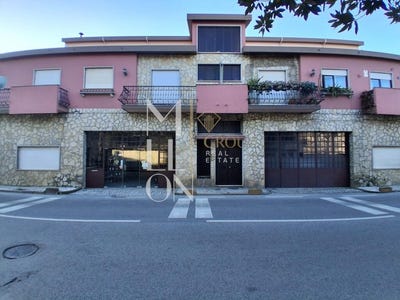 /international/pt/almeirim-beja-310106594226/