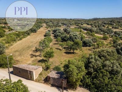 /international/pt/vila-do-bispo-faro-310101388090/