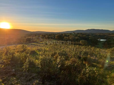 /international/pt/vale-de-grou-sobral-da-adica-beja-310105155396/