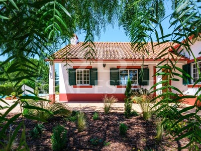 /international/pt/sao-vicente-do-paul-santarem-310108406672/