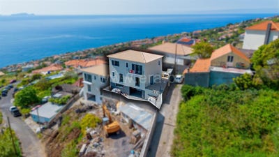 /international/pt/gaula-madeira-310108265596/