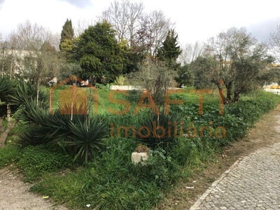 /international/pt/torres-novas-sao-pedro-santarem-310100487658/