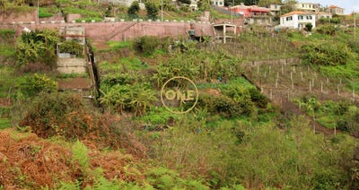 /international/pt/estreito-camara-de-lobos-madeira-310108157331/