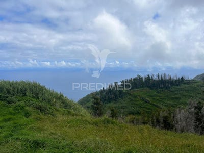 /international/pt/ponta-do-pargo-calheta-madeira-310101131975/?lang=zh-tw