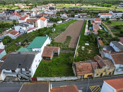 /international/pt/paiao-coimbra-310099943016/