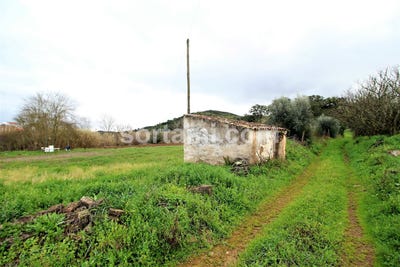 /international/pt/silves-faro-310107215057/