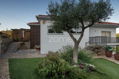 /international/pt/mirandela-braganca-310105989495/