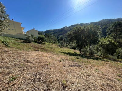 /international/pt/rua-da-fabrica-torres-do-mondego-coimbra-310100664057/