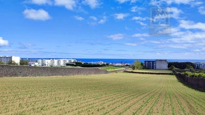 /international/pt/sao-jose-azores-310103447099/