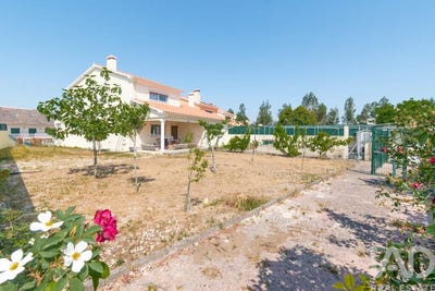 /international/pt/leiria-leiria-310108599920/
