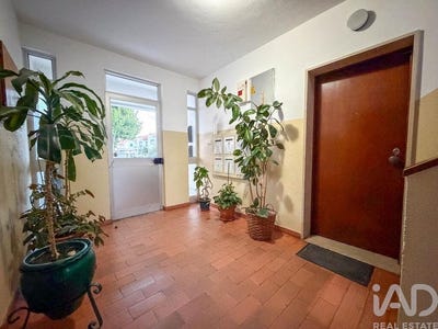 /international/pt/almeirim-santarem-310108292255/