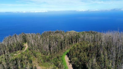 /international/pt/sitio-da-achada-do-castro-ilha-da-madeira-madeira-310097616592/