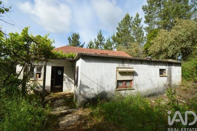 /international/pt/castelo-branco-braganca-310104446912/