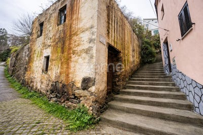 /international/pt/pampilhosa-da-serra-coimbra-310108989798/