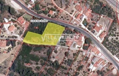 /international/pt/carregueiros-santarem-310103195730/
