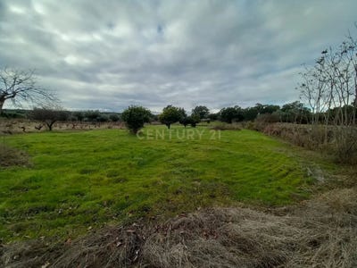 /international/pt/pghf-p9-castelo-branco-portugal-castelo-branco-braganca-310108323361/