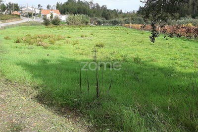 /international/pt/soure-coimbra-120066513104/