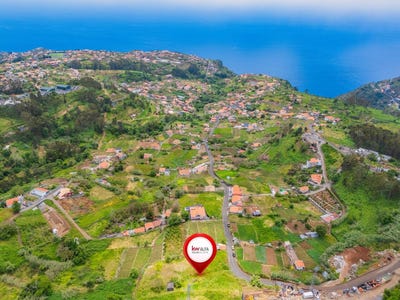 /international/pt/canhas-madeira-310108330236/?lang=fr