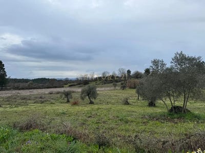 /international/pt/meimoa-portugal-meimoa-castelo-branco-310102236041/