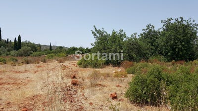 /international/pt/albufeira-faro-310107216985/