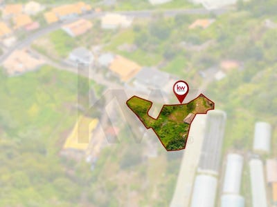 /international/pt/gaula-madeira-310105994479/