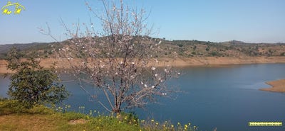 /international/pt/castro-marim-faro-310105818527/