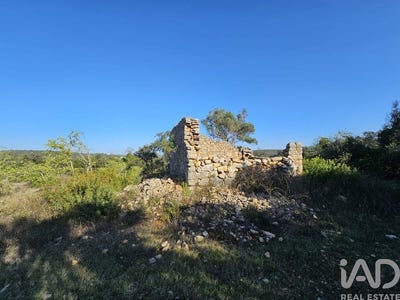 /international/pt/faro-faro-310106856790/
