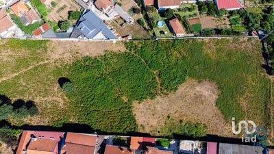 /international/pt/aveiro-aveiro-310101417082/?lang=it