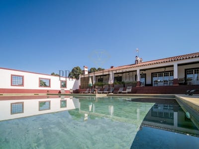 /international/pt/avis-portalegre-310096943834/