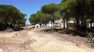 /international/pt/almancil-faro-310108928836/