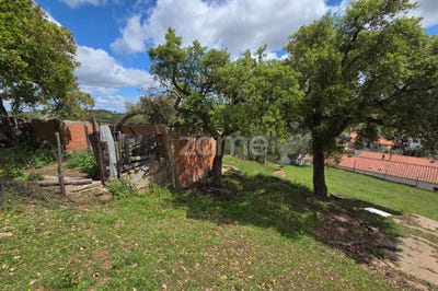 /international/pt/ourique-beja-310099117325/