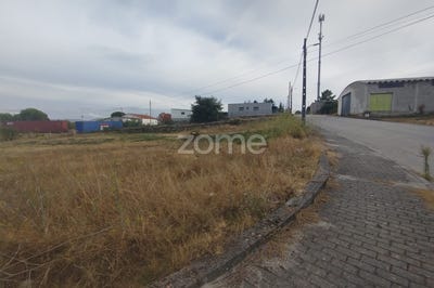/international/pt/mangualde-viseu-310101946343/