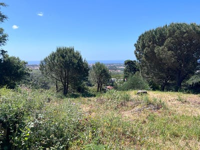 /international/pt/alcabideche-lisbon-310107703020/