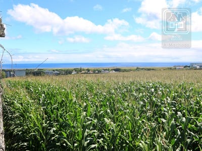 /international/pt/sao-jose-azores-310103444183/