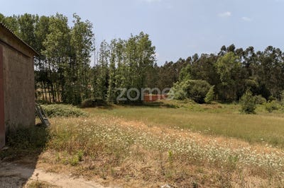 /international/pt/leiria-leiria-310100487724/