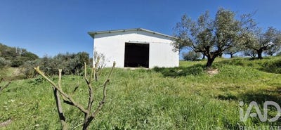 /international/pt/gancaria-santarem-310108838237/