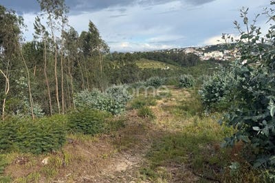 /international/pt/coimbra-lisbon-310108400949/