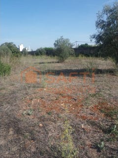 /international/pt/brogueira-santarem-310100484503/