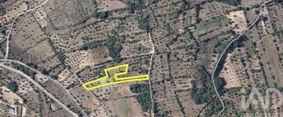 /international/pt/santarem-santarem-310108183159/