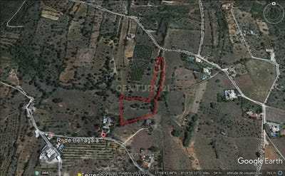 /international/pt/benagaia-alcantarilha-faro-310105187786/