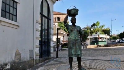 /international/pt/macedo-de-cavaleiros-braganca-310101187349/?lang=de