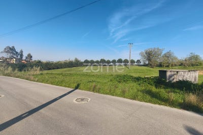 /international/pt/leiria-leiria-310106796027/