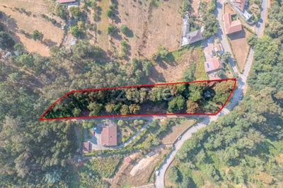 /international/pt/vila-nova-de-gaia-porto-310106106870/