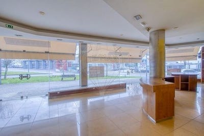 /international/pt/mondim-de-basto-vila-real-310106286759/