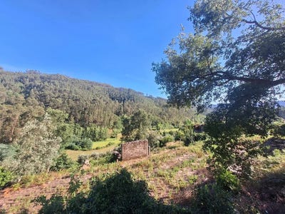/international/pt/estrada-de-varzea-afonso-tropeco-aveiro-310100670910/
