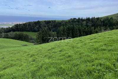 /international/pt/ribeira-grande-azores-120083423269/